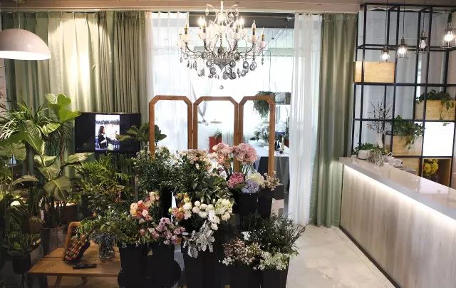 时尚花艺：干花_干花时尚花艺图片_干花时尚花艺怎么样