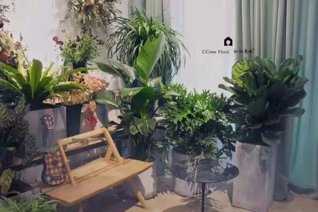 干花时尚花艺怎么样_干花时尚花艺图片_时尚花艺：干花