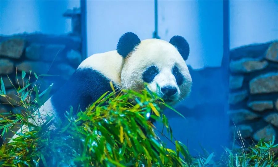 湖北旅游攻略三日游-湖北三日游适合去哪里玩啊(图6) 湖北旅游攻略三日游_湖北三日游路线_湖北三日游适合去哪里玩啊