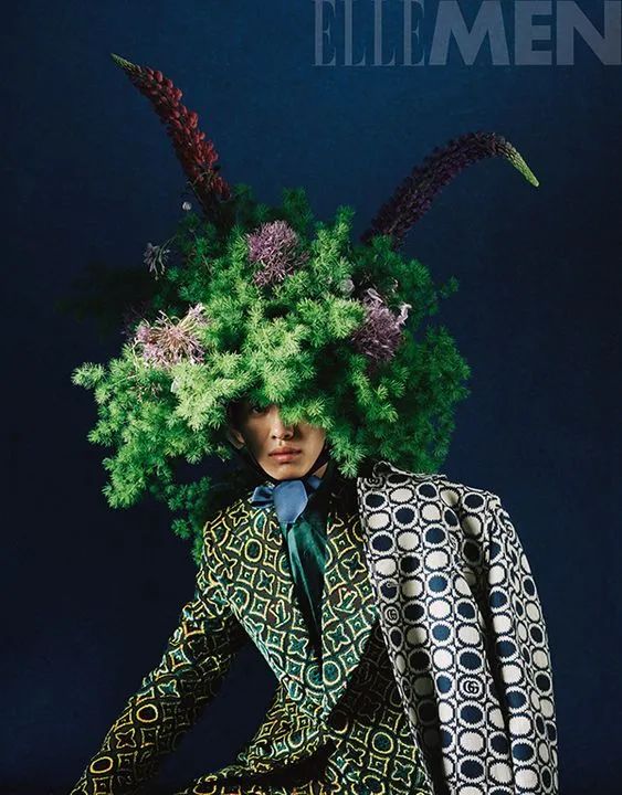 时尚花艺：干花_干花款式_干花时尚花艺怎么样