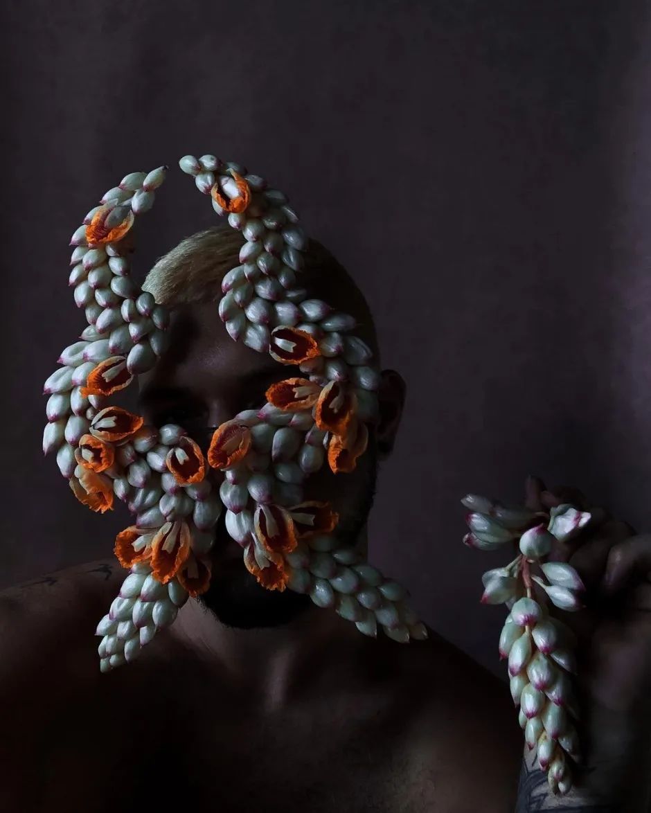 干花款式_时尚花艺：干花_干花时尚花艺怎么样