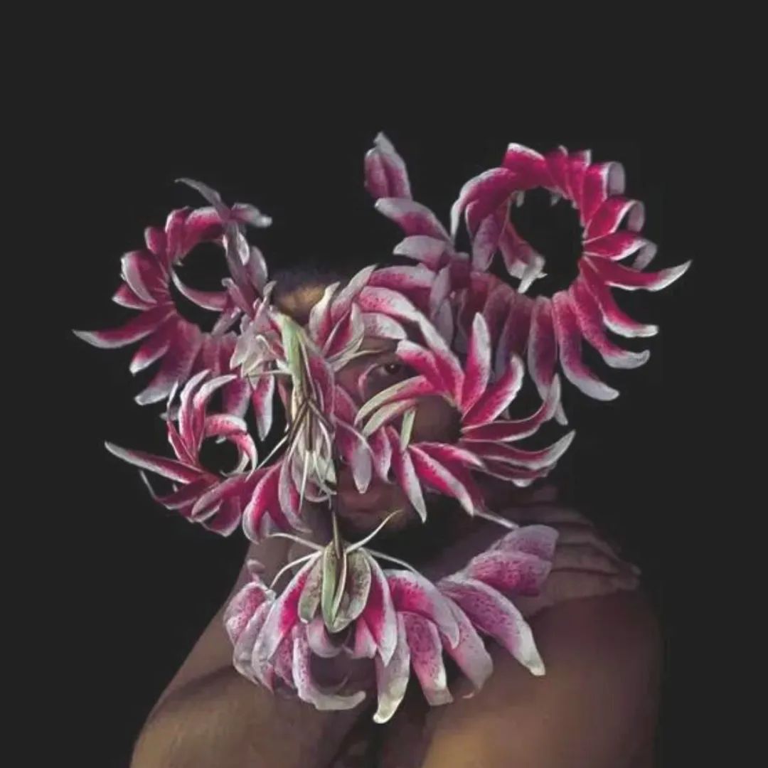 干花款式_时尚花艺：干花_干花时尚花艺怎么样