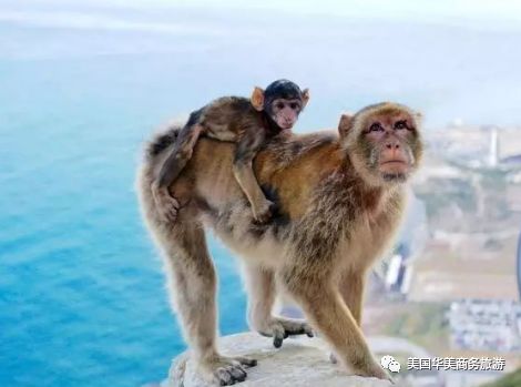 帕劳群岛旅游攻略-帕劳群岛图片欣赏(图75) 帕劳群岛地图上的位置_帕劳群岛旅游攻略_帕劳群岛图片欣赏