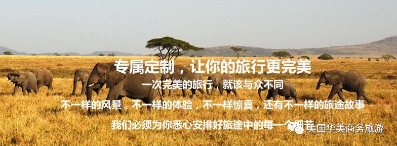 帕劳群岛旅游攻略-帕劳群岛图片欣赏(图17) 帕劳群岛图片欣赏_帕劳群岛旅游攻略_帕劳群岛地图上的位置