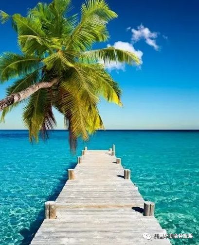 帕劳群岛旅游攻略-帕劳群岛图片欣赏(图20) 帕劳群岛图片欣赏_帕劳群岛旅游攻略_帕劳群岛地图上的位置