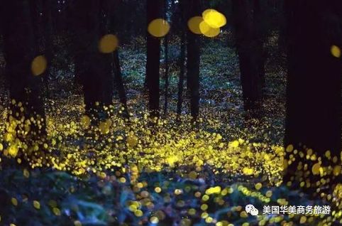 帕劳群岛旅游攻略-帕劳群岛图片欣赏(图41) 帕劳群岛旅游攻略_帕劳群岛图片欣赏_帕劳群岛地图上的位置