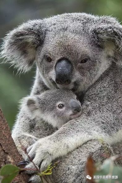 帕劳群岛旅游攻略-帕劳群岛图片欣赏(图51) 帕劳群岛旅游攻略_帕劳群岛地图上的位置_帕劳群岛图片欣赏