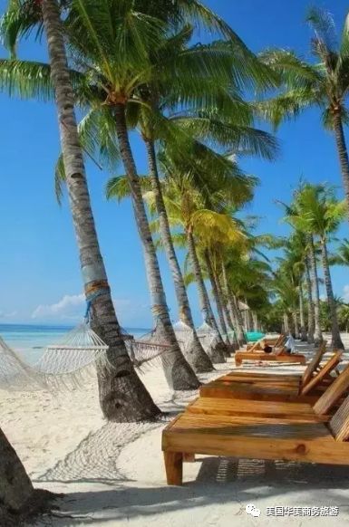 帕劳群岛旅游攻略-帕劳群岛图片欣赏(图54) 帕劳群岛图片欣赏_帕劳群岛旅游攻略_帕劳群岛地图上的位置