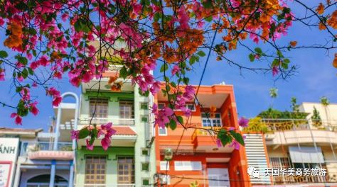 帕劳群岛旅游攻略-帕劳群岛图片欣赏(图66) 帕劳群岛旅游攻略_帕劳群岛图片欣赏_帕劳群岛地图上的位置