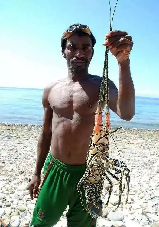 帕劳群岛旅游攻略-帕劳群岛地图上的位置(图13) 帕劳群岛视频_帕劳群岛旅游攻略_帕劳群岛地图上的位置