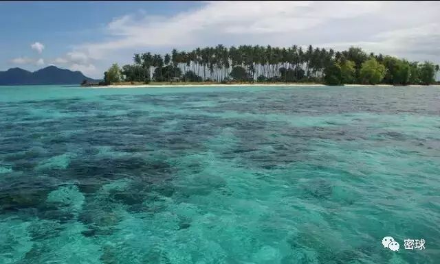 帕劳群岛旅游攻略-帕劳群岛地图上的位置(图22) 帕劳群岛旅游攻略_帕劳群岛地图上的位置_帕劳群岛视频