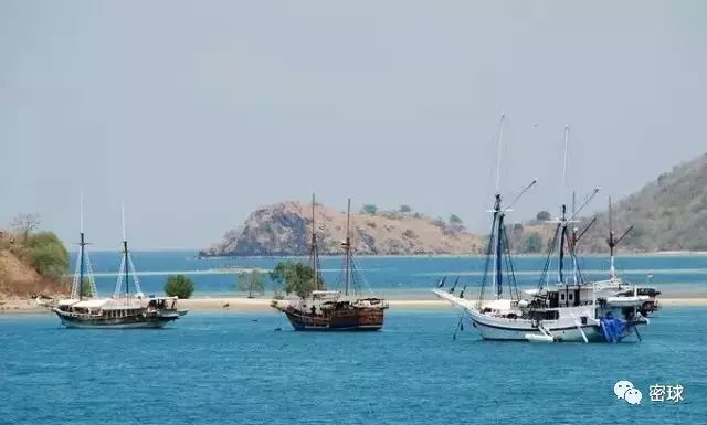 帕劳群岛旅游攻略-帕劳群岛地图上的位置(图28) 帕劳群岛地图上的位置_帕劳群岛旅游攻略_帕劳群岛视频