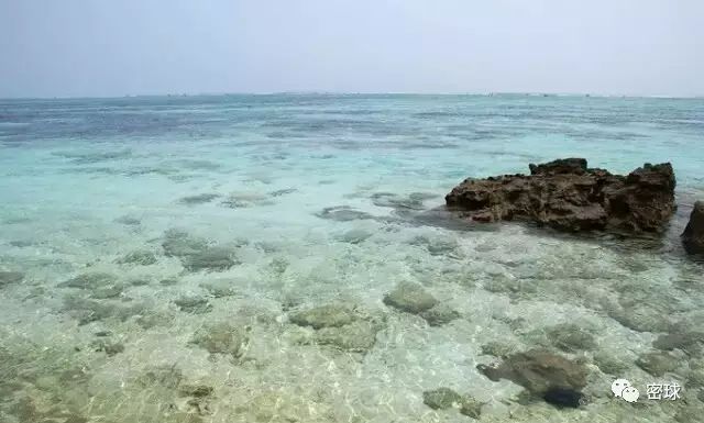 帕劳群岛旅游攻略-帕劳群岛地图上的位置(图30) 帕劳群岛地图上的位置_帕劳群岛旅游攻略_帕劳群岛视频