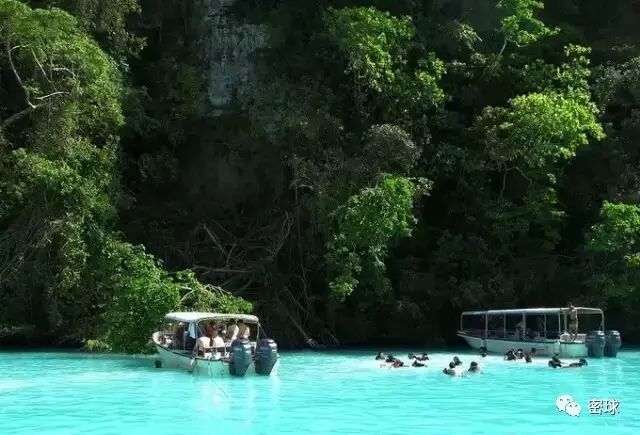 帕劳群岛旅游攻略-帕劳群岛地图上的位置(图33) 帕劳群岛旅游攻略_帕劳群岛视频_帕劳群岛地图上的位置
