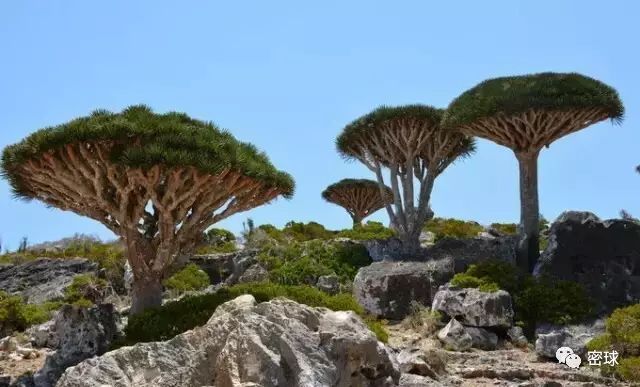 帕劳群岛旅游攻略-帕劳群岛地图上的位置(图40) 帕劳群岛地图上的位置_帕劳群岛旅游攻略_帕劳群岛视频