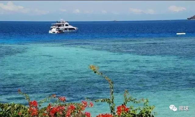 帕劳群岛旅游攻略-帕劳群岛地图上的位置(图43) 帕劳群岛视频_帕劳群岛地图上的位置_帕劳群岛旅游攻略