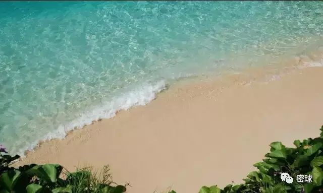 帕劳群岛旅游攻略-帕劳群岛地图上的位置(图6) 帕劳群岛旅游攻略_帕劳群岛地图上的位置_帕劳群岛视频