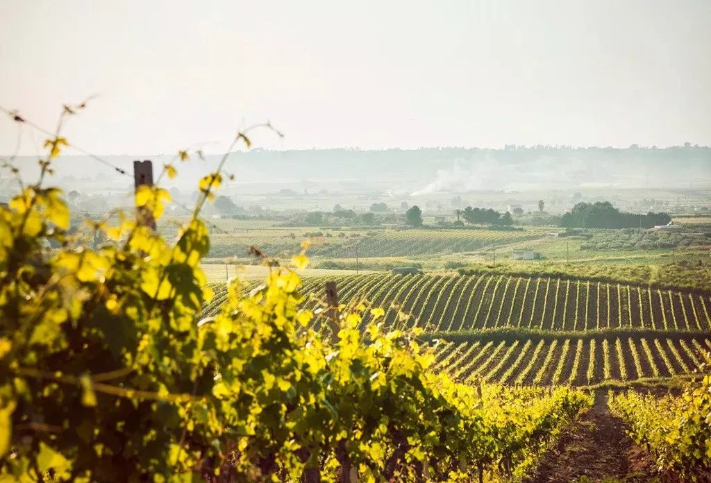 西西里岛旅游攻略-西西里岛游记(图8) 西西里岛旅行_西西里岛游记_西西里岛旅游攻略