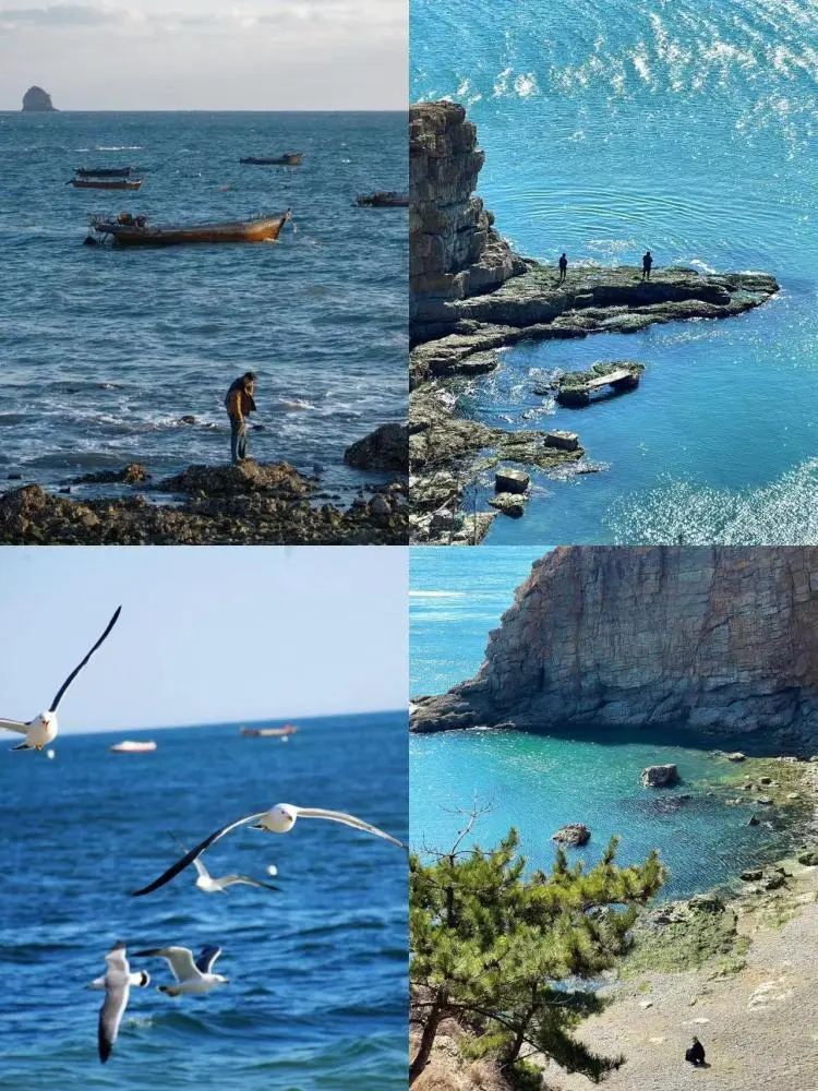 大连4天旅游攻略自助游-大连自助推荐(图17) 大连4天旅游攻略自助游_大连自助游攻略5天_大连自助推荐