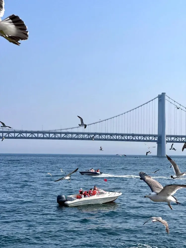 大连4天旅游攻略自助游-大连自助推荐(图5) 大连自助推荐_大连4天旅游攻略自助游_大连自助游攻略5天