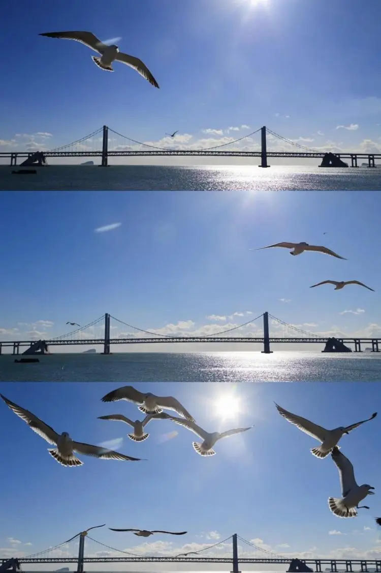 大连4天旅游攻略自助游-大连自助推荐(图9) 大连4天旅游攻略自助游_大连自助推荐_大连自助游攻略5天