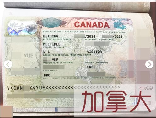 帕劳群岛旅游攻略-帕劳群岛视频(图5) 帕劳群岛视频_帕劳群岛旅游攻略_帕劳群岛图片欣赏