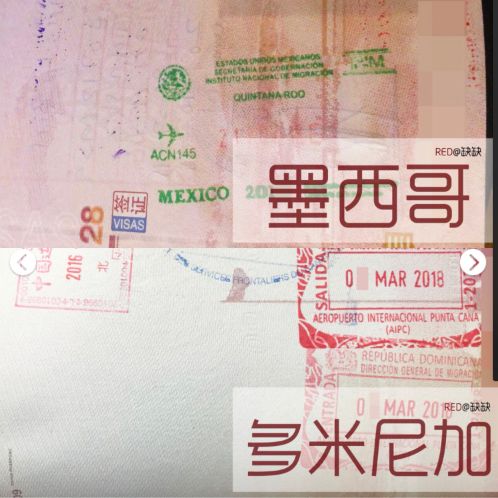 帕劳群岛旅游攻略-帕劳群岛视频(图6) 帕劳群岛图片欣赏_帕劳群岛旅游攻略_帕劳群岛视频