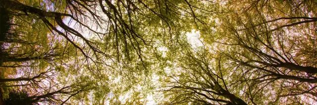 西西里岛旅游攻略-西西里岛旅行(图19) 西西里岛旅行_西西里岛值得去吗_西西里岛旅游攻略