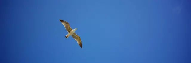 西西里岛旅游攻略-西西里岛旅行(图20) 西西里岛旅游攻略_西西里岛值得去吗_西西里岛旅行