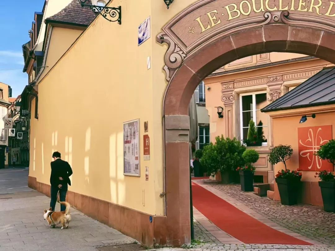 斯特拉斯堡旅游攻略-攻略旅游斯特拉斯堡的路线(图68) 斯特拉斯堡旅游攻略_斯特拉斯堡旅游_攻略旅游斯特拉斯堡的路线