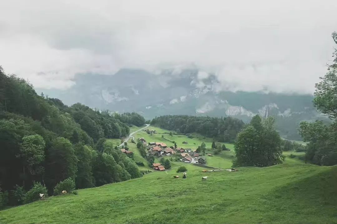 斯特拉斯堡旅游攻略-攻略旅游斯特拉斯堡的路线(图73) 斯特拉斯堡旅游攻略_斯特拉斯堡旅游_攻略旅游斯特拉斯堡的路线