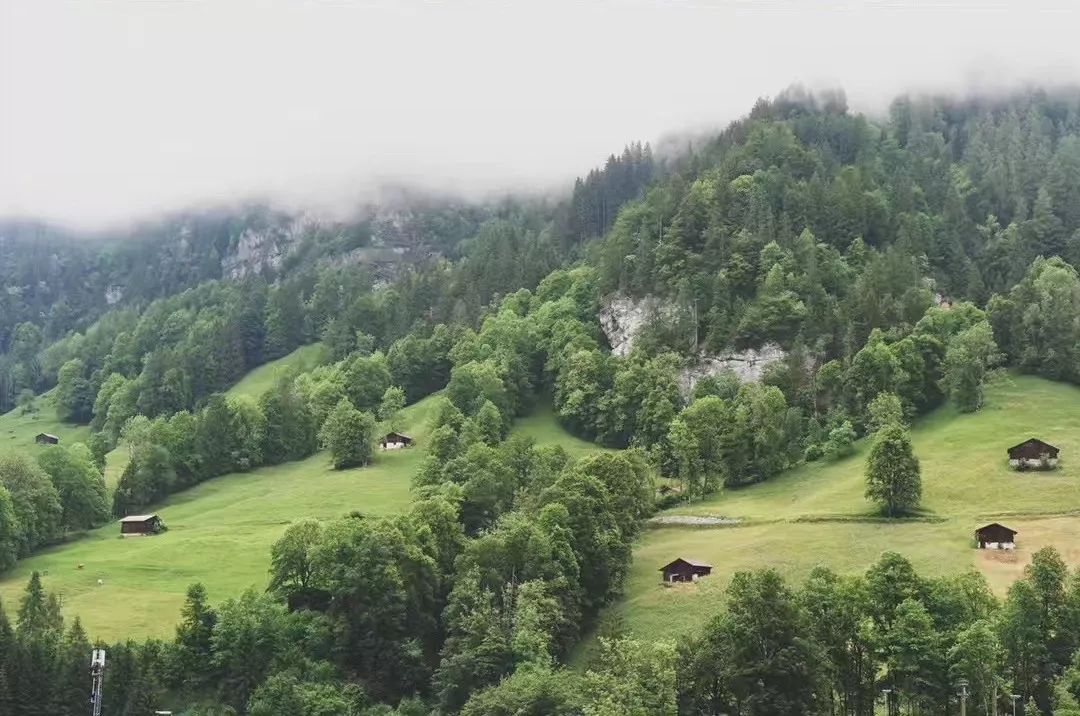 斯特拉斯堡旅游攻略-攻略旅游斯特拉斯堡的路线(图74) 攻略旅游斯特拉斯堡的路线_斯特拉斯堡旅游攻略_斯特拉斯堡旅游