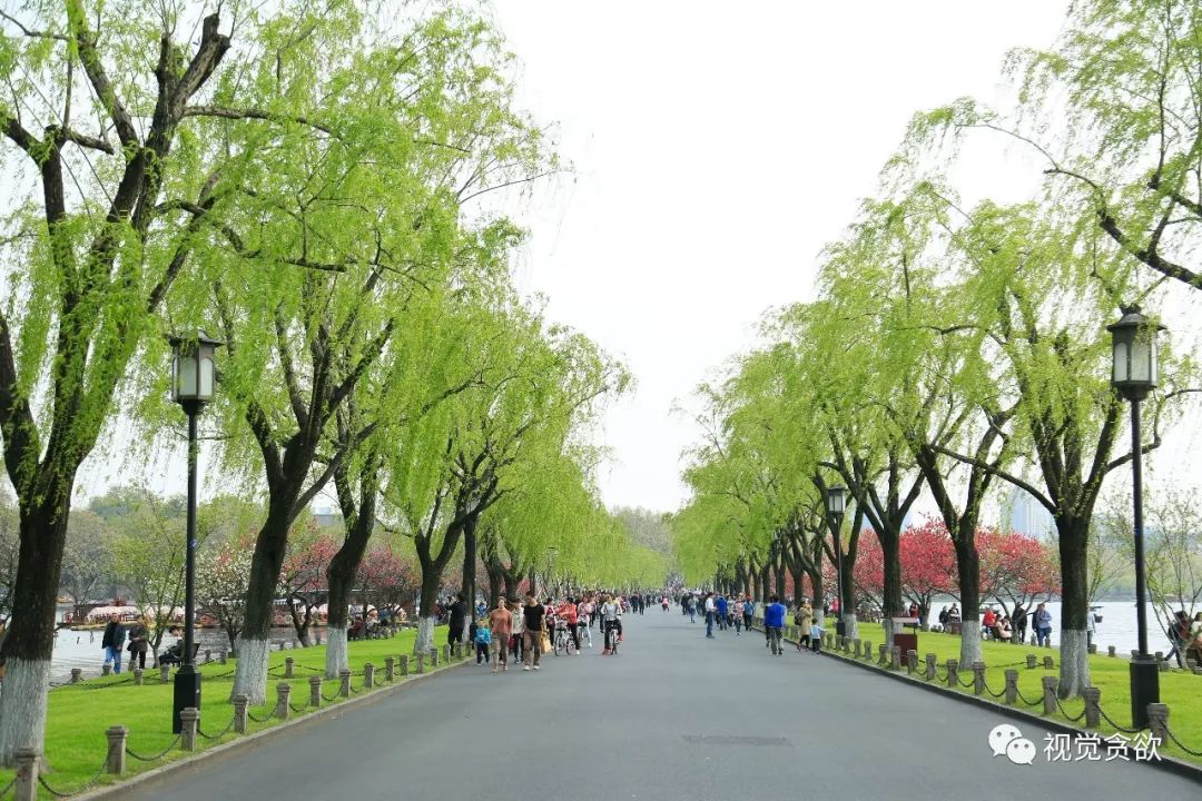 杭卅千岛湖旅游_杭州千岛湖一日旅游攻略_杭州千岛湖旅游景点