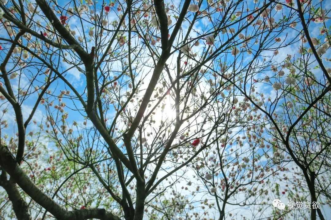 杭卅千岛湖旅游_杭州千岛湖一日旅游攻略_杭州千岛湖旅游景点