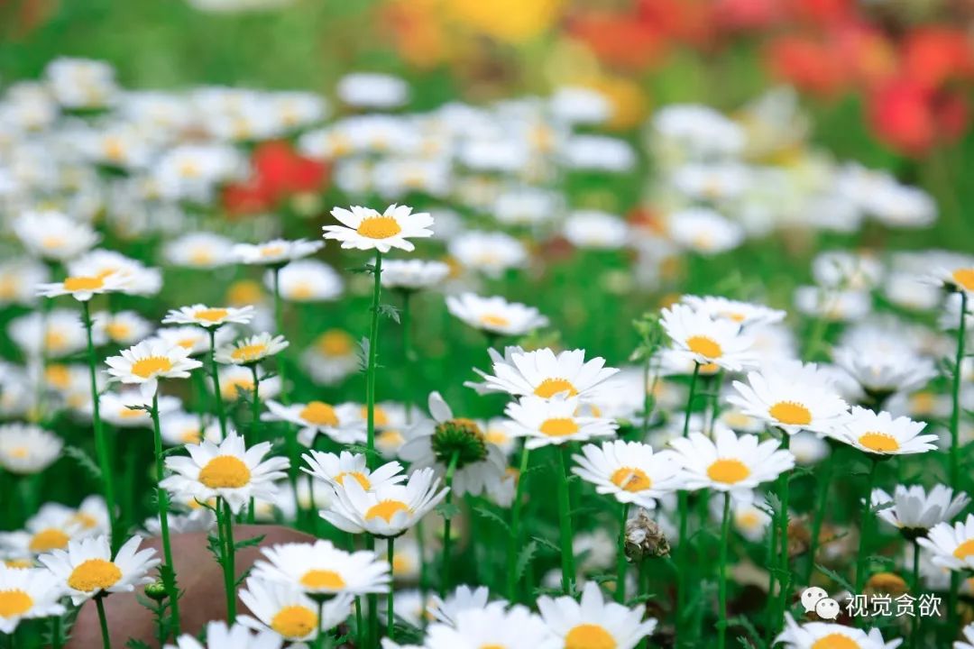 杭州千岛湖旅游景点_杭州千岛湖一日旅游攻略_杭卅千岛湖旅游