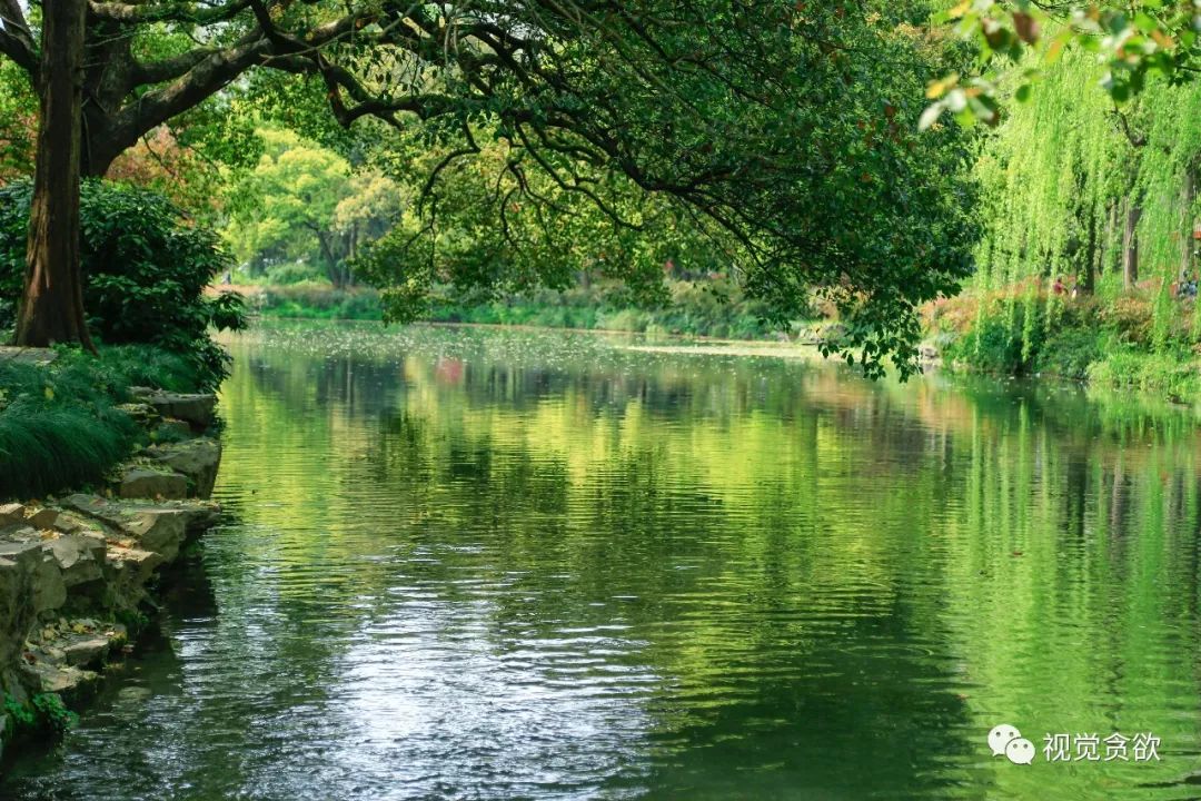 杭州千岛湖旅游景点_杭州千岛湖一日旅游攻略_杭卅千岛湖旅游