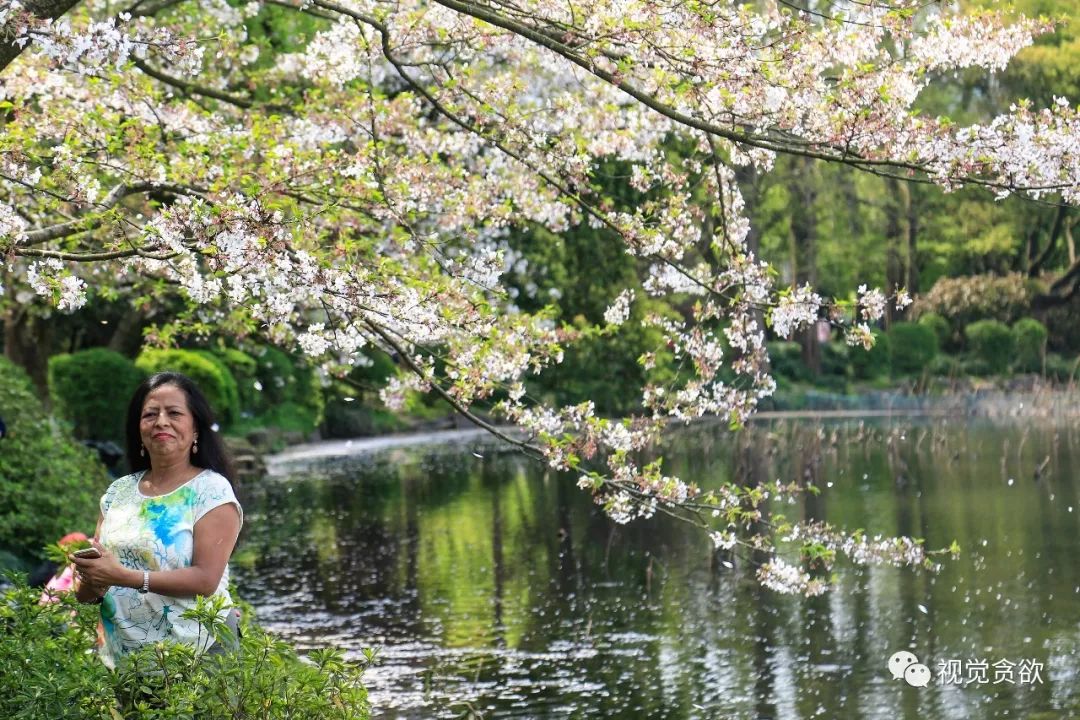 杭州千岛湖一日旅游攻略_杭州千岛湖旅游景点_杭卅千岛湖旅游