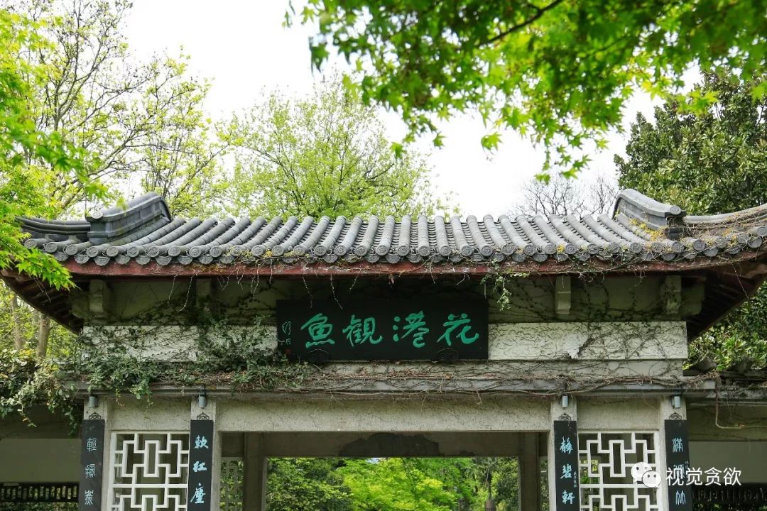 杭州千岛湖旅游景点_杭卅千岛湖旅游_杭州千岛湖一日旅游攻略