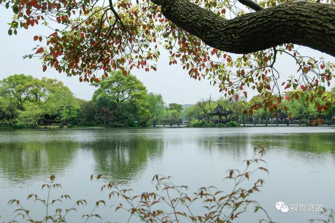 杭卅千岛湖旅游_杭州千岛湖一日旅游攻略_杭州千岛湖旅游景点