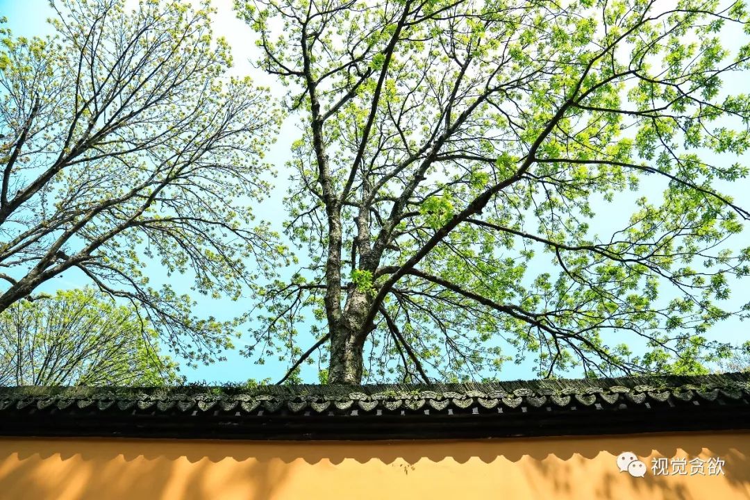 杭卅千岛湖旅游_杭州千岛湖一日旅游攻略_杭州千岛湖旅游景点