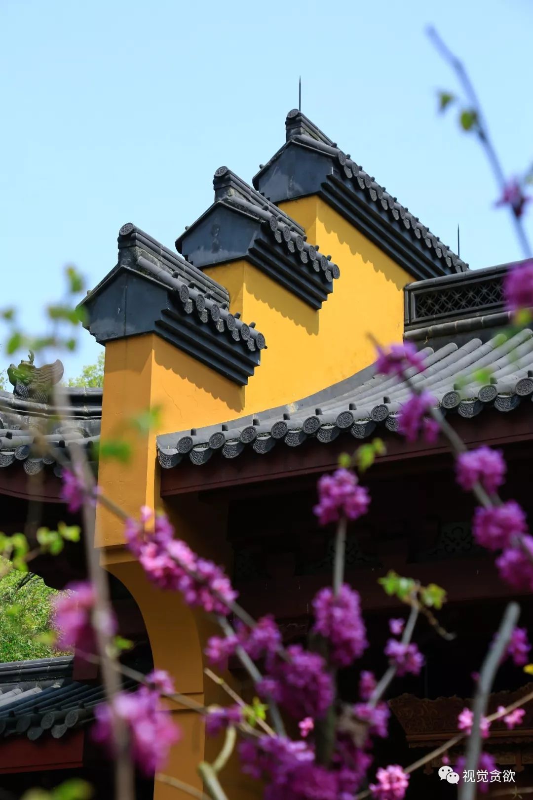 杭州千岛湖一日旅游攻略_杭卅千岛湖旅游_杭州千岛湖旅游景点