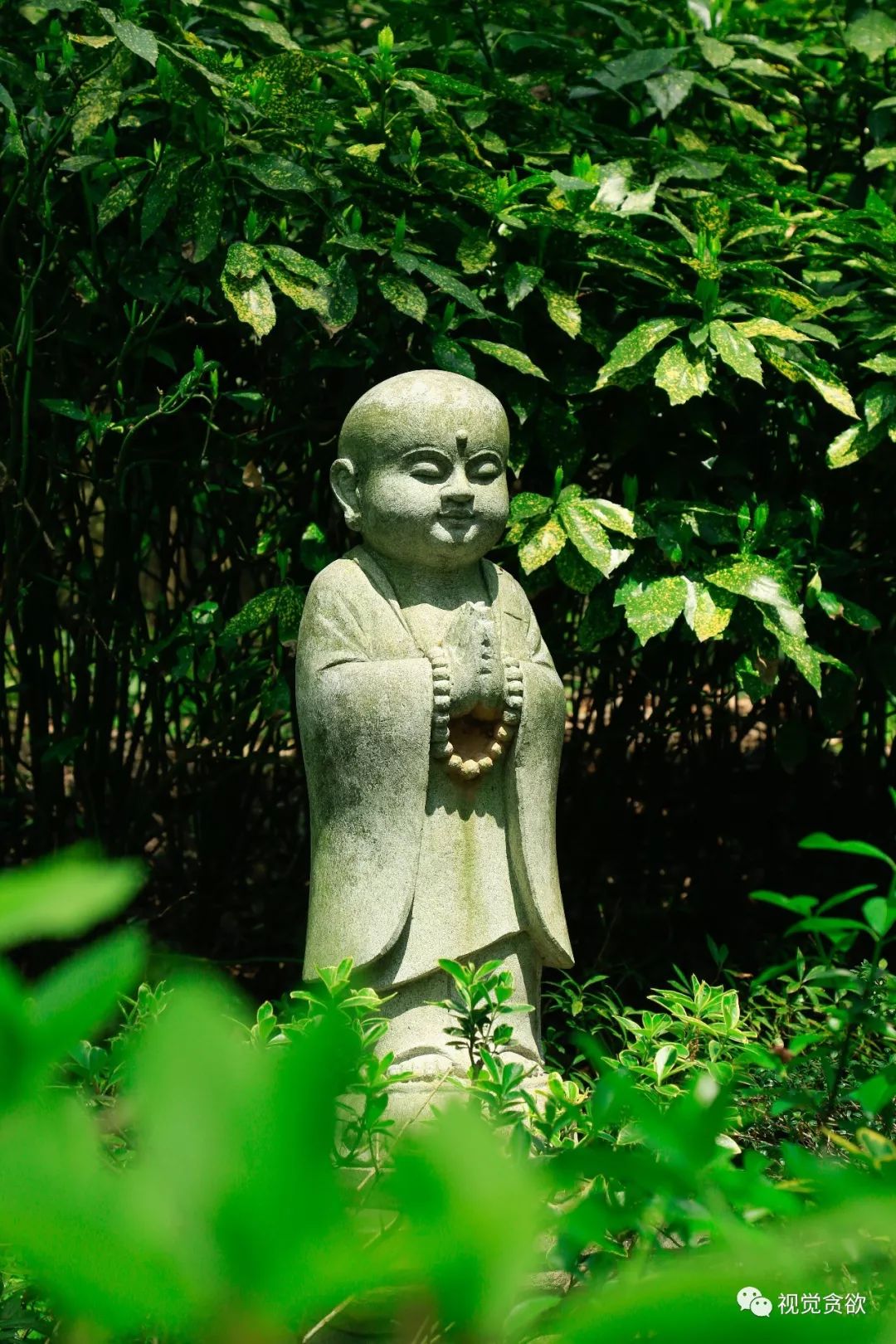 杭州千岛湖一日旅游攻略_杭卅千岛湖旅游_杭州千岛湖旅游景点