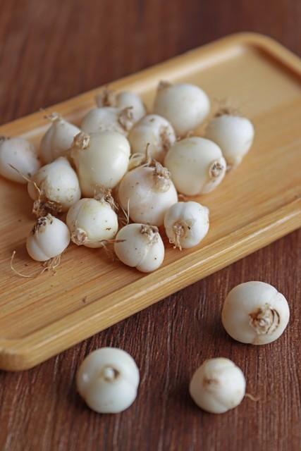 马来亚庇旅游景点_马来西亚亚庇海滩_马来西亚亚庇旅游攻略