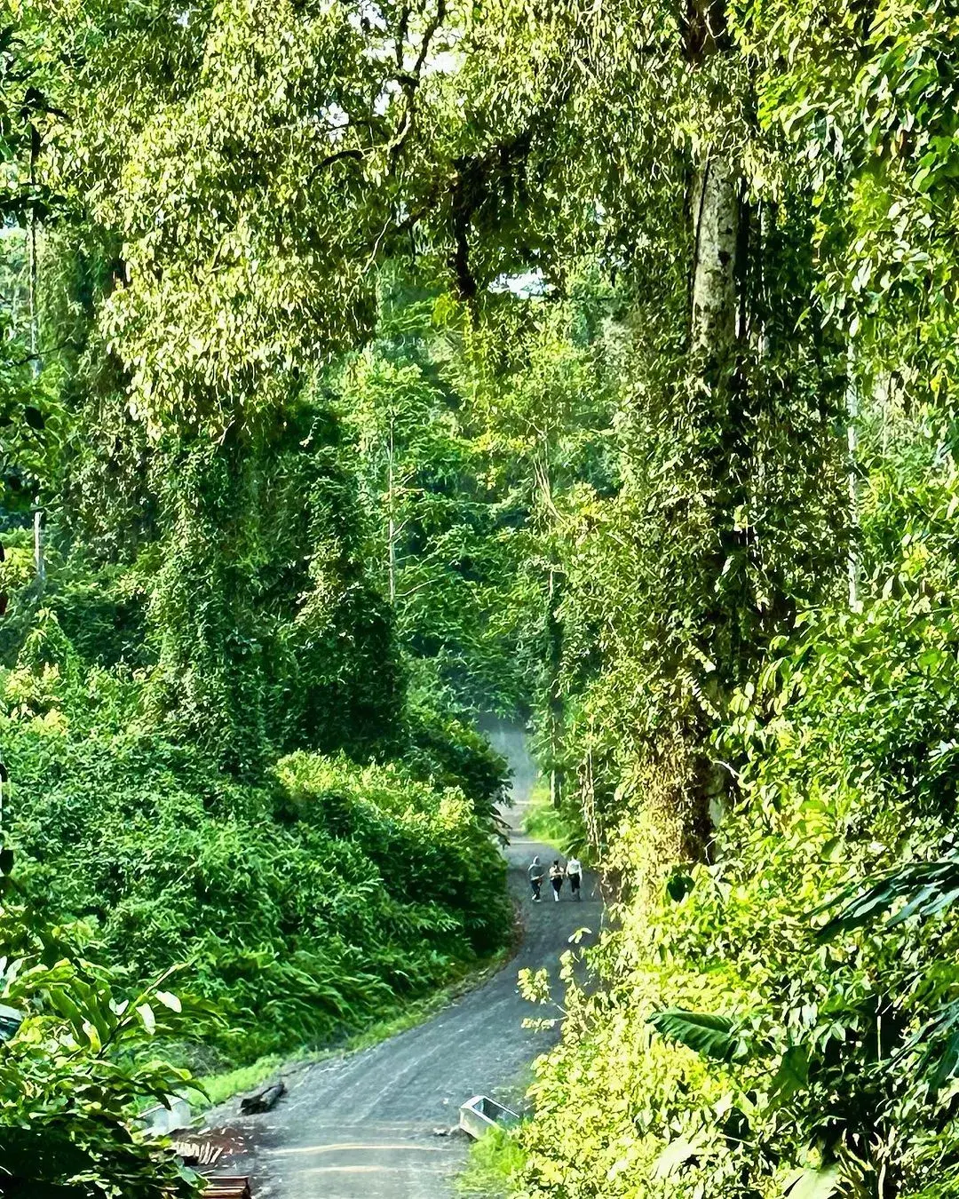 马来西亚旅游攻略2018_马来亚庇旅游景点_马来西亚亚庇旅游攻略