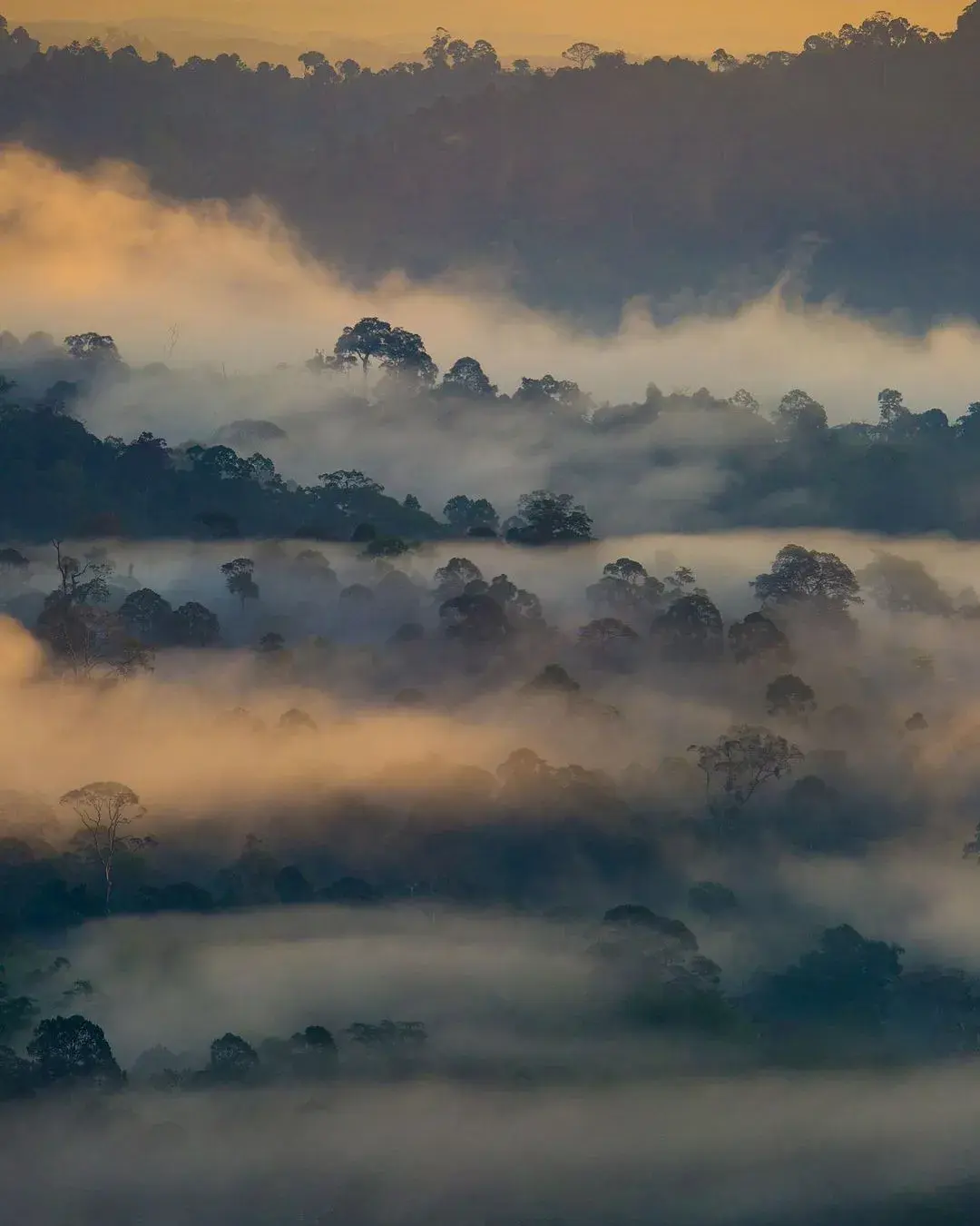 马来西亚旅游攻略2018_马来亚庇旅游景点_马来西亚亚庇旅游攻略