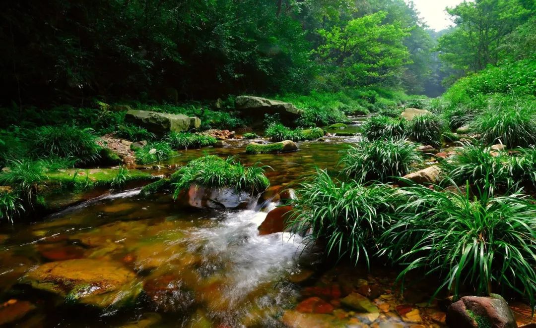 张家界攻略必去景点_张家界攻略景区旅游路线_张家界景区旅游攻略