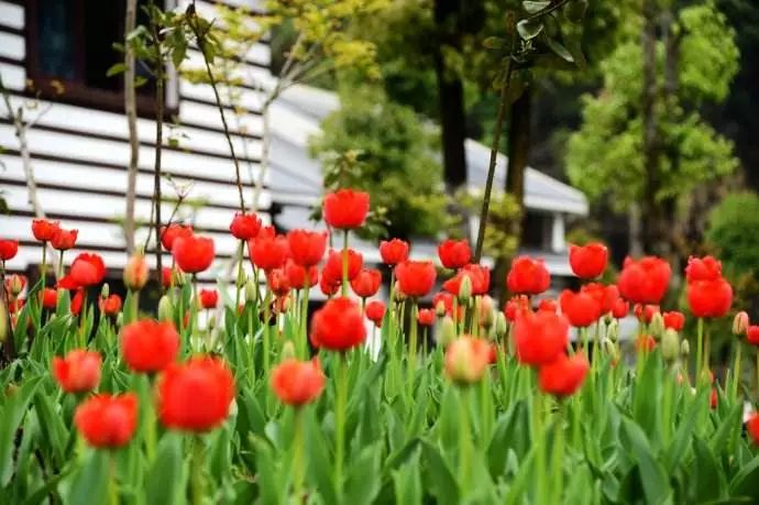 张家界攻略景区旅游路线_张家界景区旅游攻略_张家界攻略必去景点