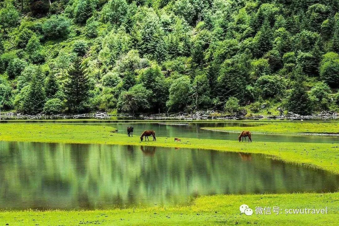 九寨沟七藏沟旅游攻略自由行_七藏沟值得去吗_七藏沟徒步攻略