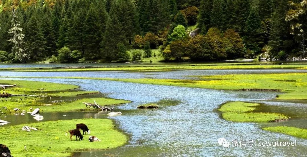 九寨沟七藏沟旅游攻略自由行_七藏沟值得去吗_七藏沟徒步攻略