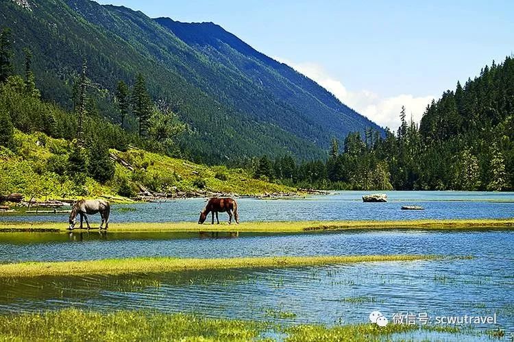 七藏沟值得去吗_七藏沟徒步攻略_九寨沟七藏沟旅游攻略自由行